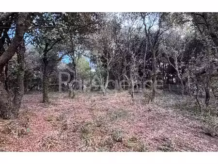 terrain arboré 1 200 m2 - 3e ligne mer - saint-palais-sur-me