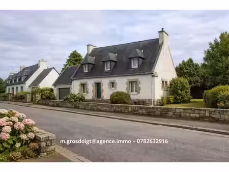 maison familiale lumineuse avec grand jardin – tout à pied au cœ