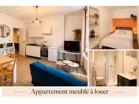 appartement meublé à louer