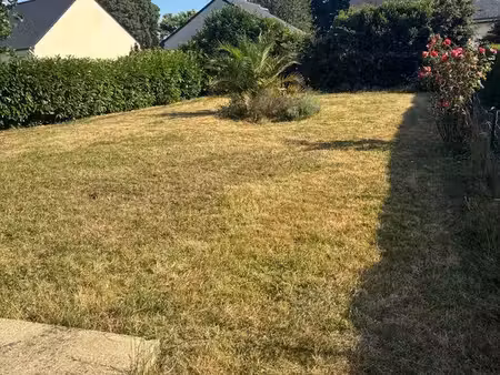 location maison pancé