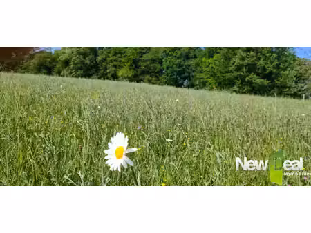 terrain constructible neuf à vendre