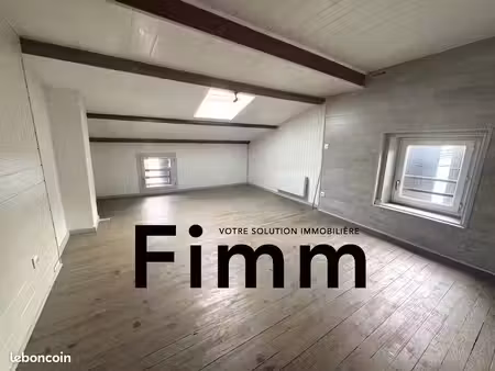 appartement 52 m² serrières