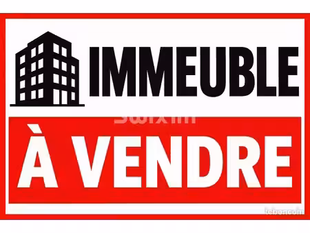 immeuble 447 m² haguenau