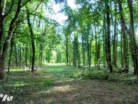 terrain à vendre