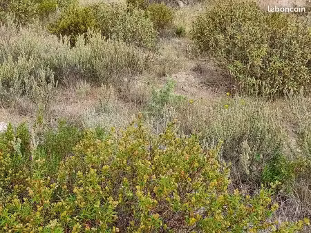 terrain 1 223 m² theza