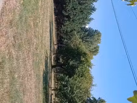 terrain 3000 m²