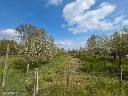 terrain 544 m² bischwihr