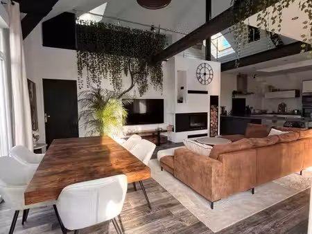 loft avec jardin terrasse