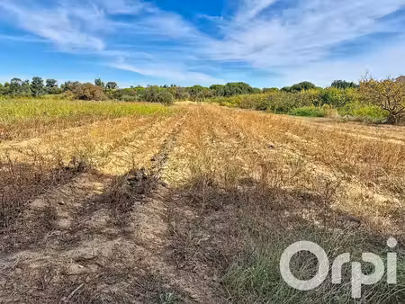 terrain agricole de 27a 41ca pour exploitation