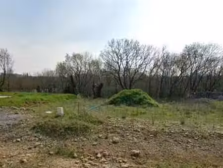 vente terrain à saint-maxire (79410) : à vendre / saint-maxire