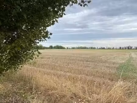 vente terrain à saint-rémy (79410) : à vendre / saint-rémy