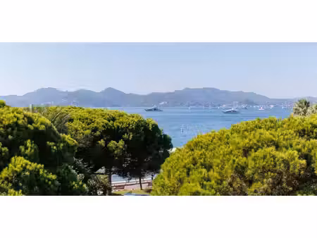 appartement en bord de mer croisette-palm-beach - cannes (06)