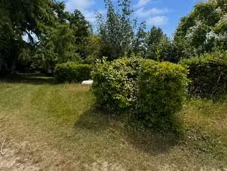 vente terrain piscine à la teste-de-buch (33115) : à vendre piscine / 3524m² la teste-de-b