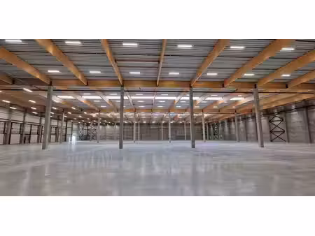 entrepôt à louer à tessenderlo pour € 36.000