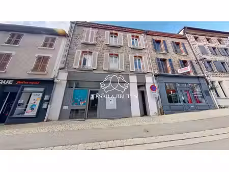 maison (390 m²) en vente à panissieres