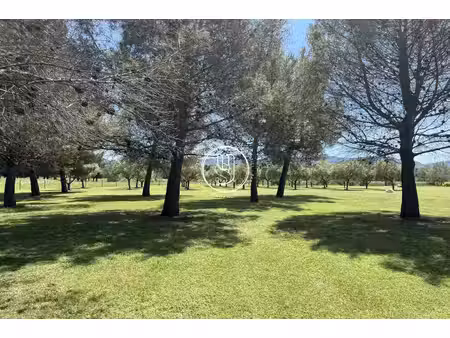 villa saint-rémy-de-provence - 5 chambres - 400m²