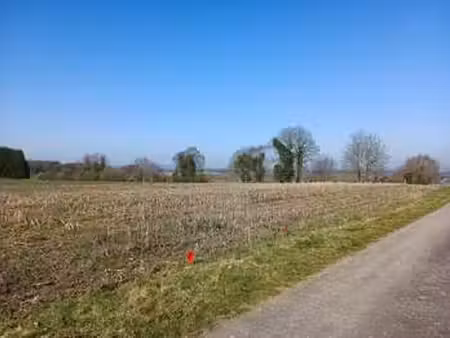 vente terrain à cléguérec (56480) : à vendre / 751m² cléguérec