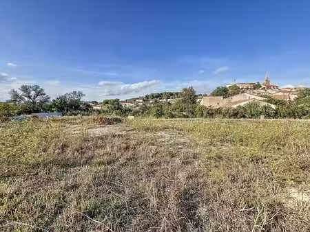 terrain