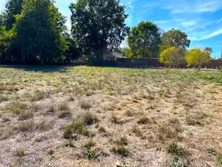vente terrain à nesmy (85310) : à vendre / 1904m² nesmy
