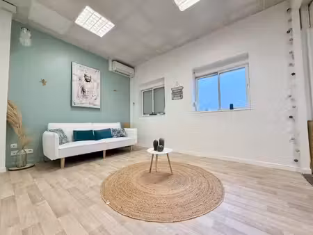 immobilier professionnel à vendre carcassonne