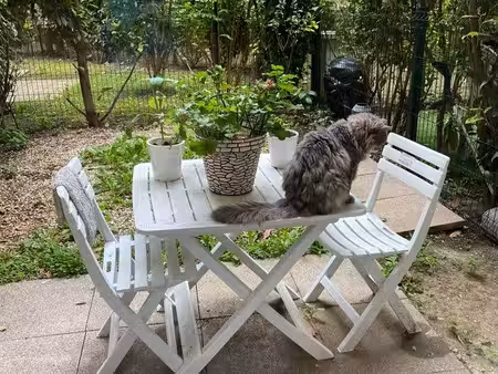 appartement t2 rez-de-jardin