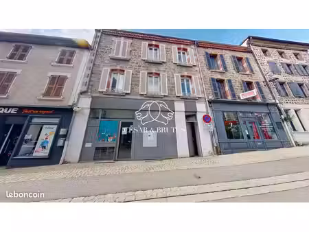 immeuble 390 m² panissières