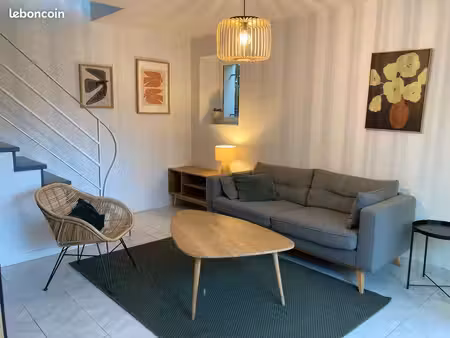 t2 duplex jardin 45m² purpan lardenne