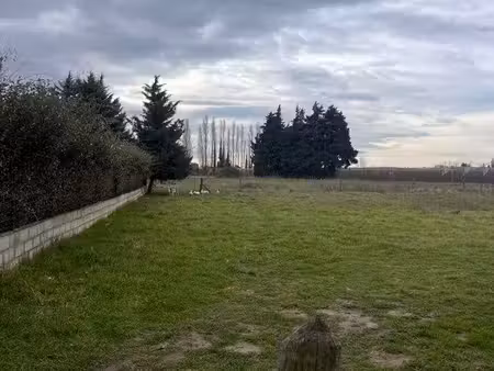 location terrain agricole