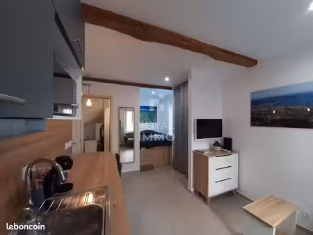 appartement 1 pièce 17 m²