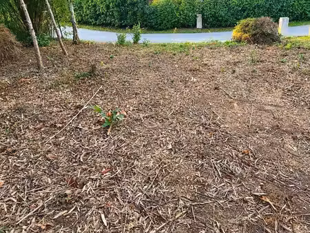 terrain constructible neuf à vendre