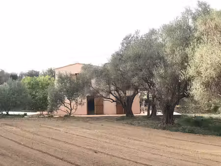 maison à louer