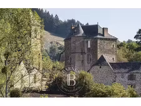 château à vendre à cransac