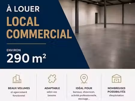 immobilier professionnel à louer hagetmau