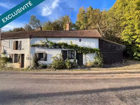 deux maisons + grange et dépendances – env. 1 650 m² de terrain – coupray