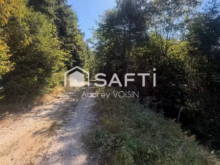 en exclusivite une belle forêt de plus de 3 hectares