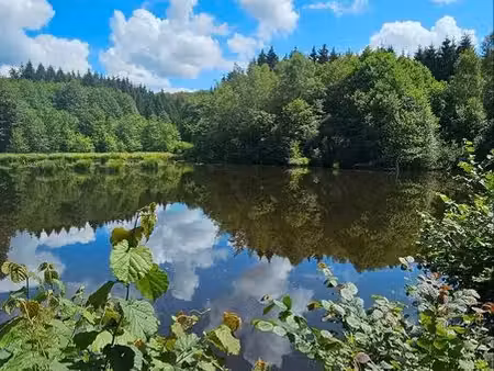 bel étang et sa forêt