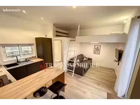 studio 1 pièce 26 m²