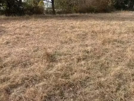 terrain 1 257 m² paray le monial