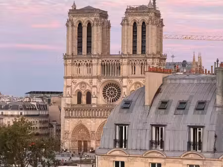vue exceptionnelle sur notre-dame