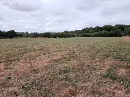 terrain agricole 19410 m2 voivres-lès le mans