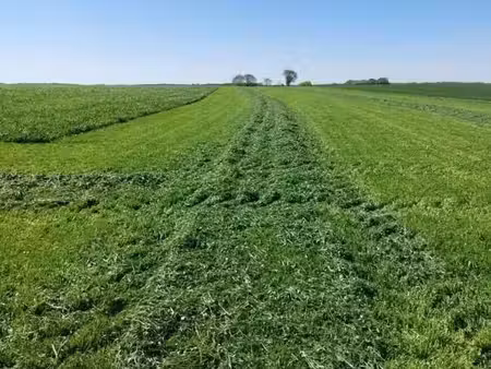terrain 900 m² la vieux rue