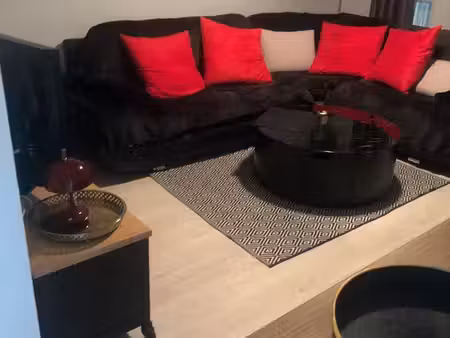 appartement meublé lumineux et traversant 60m2 avec 2 chambres lit doubles et salle de bai