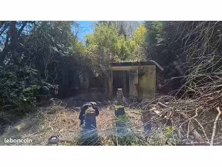 terrain à