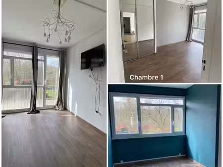 appartement mont saint aignan