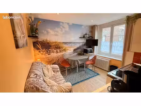 bel appartement 1 ch sejour sdb
