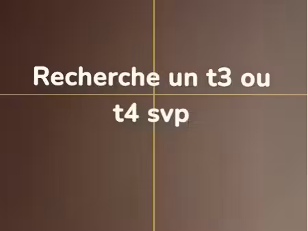 recherche appartement t3 ou t4 personne très sérieuse