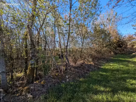 terrain boisé 1030 m2