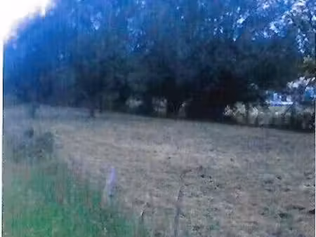 terrain d'agrément