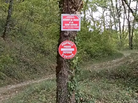 truffière  bois et terrain de loisir
