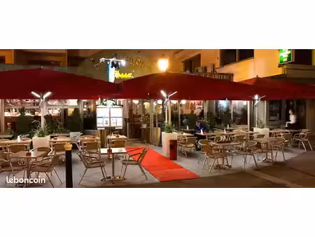 local commercial 650 m2 frontiere genevoise (74)